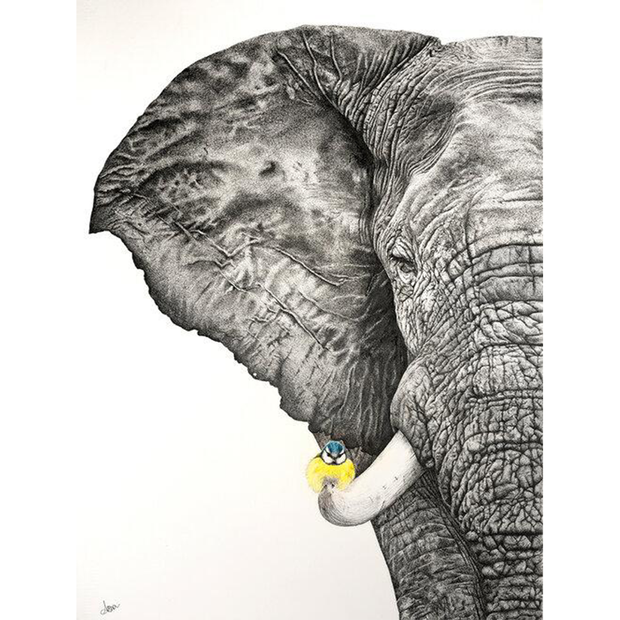 Elephant - Tit Giclee Print