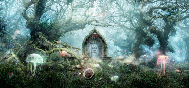 'The Open Door' (Alice In Wonderland)