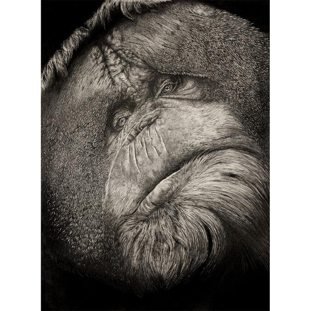 Orangutan Giclee Print