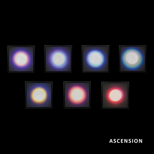 ASCENSION - CHAKRA CANVAS - FULL COLLECTION OF 7 , 2020