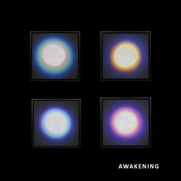 AWAKENING - CHAKRA CANVAS - SET OF 4 , 2020