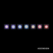 ASCENSION - CHAKRA CANVAS - FULL COLLECTION OF 7 , 2020