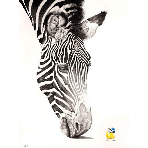 Zebra - Tit Giclee Print