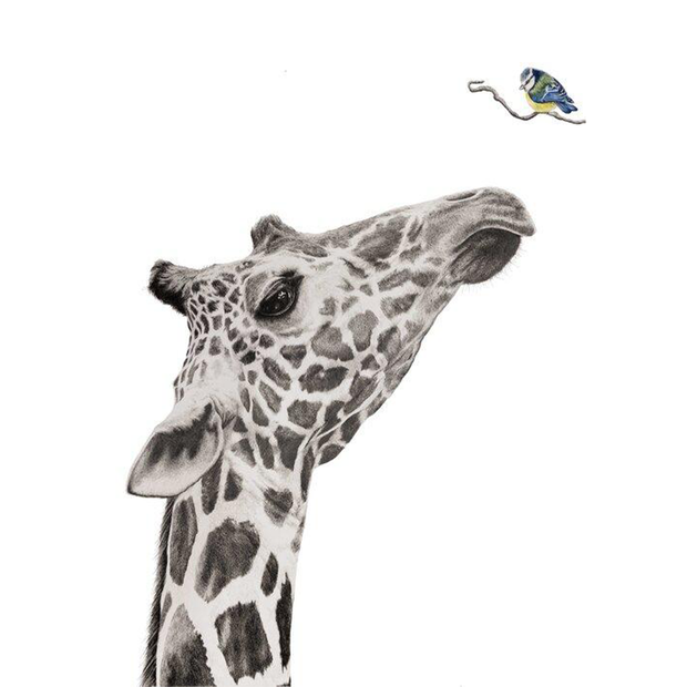 Giraffe - Tit Giclee Print